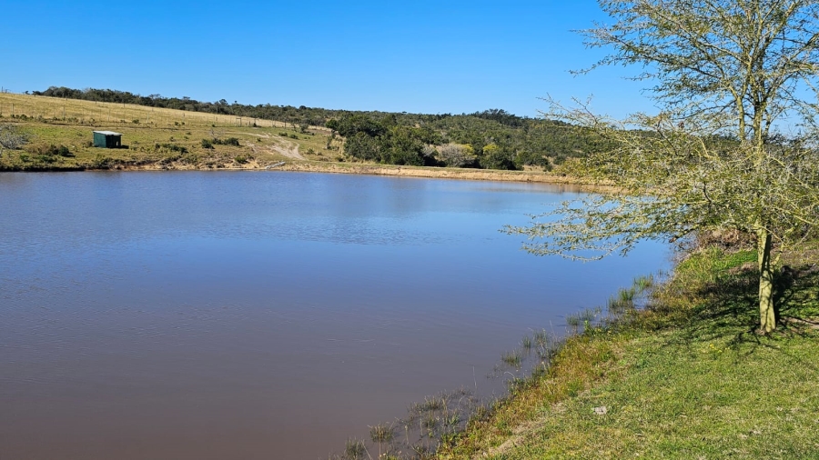 Commercial Property for Sale in Komga Rural Eastern Cape